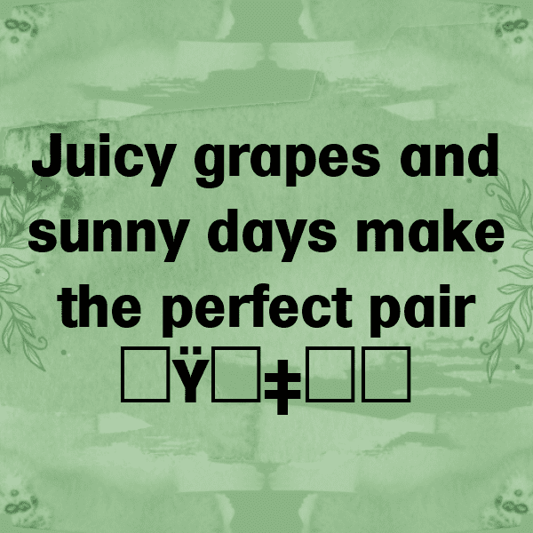 265+ Grape Captions For Instagram (Best, Funny & Short) 3 Grape Captions Image For Instagram-bpbKJv