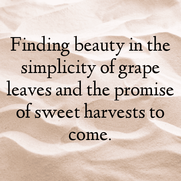 265+ Grape Captions For Instagram (Best, Funny & Short) 15 Grape Captions Image For Instagram-FjYXjA