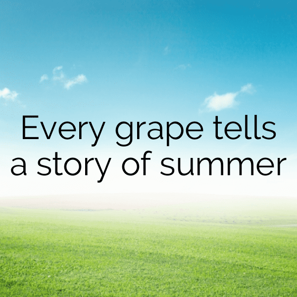 265+ Grape Captions For Instagram (Best, Funny & Short) 9 Grape Captions Image For Instagram-GLf8uS