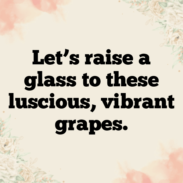 265+ Grape Captions For Instagram (Best, Funny & Short) 14 Grape Captions Image For Instagram-X4x4Oy