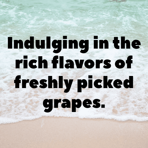 265+ Grape Captions For Instagram (Best, Funny & Short) 13 Grape Captions Photo For Instagram-bofQfu