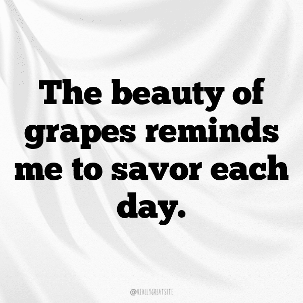 265+ Grape Captions For Instagram (Best, Funny & Short) 6 Grape Captions Photo For Instagram-DunJmu