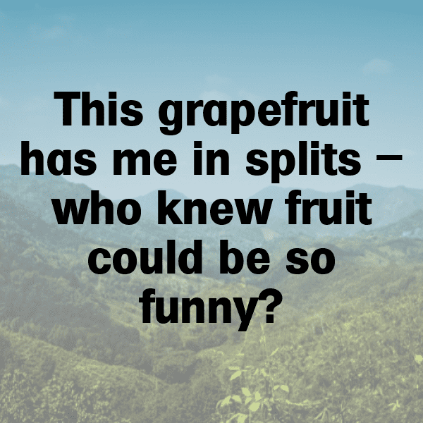 348+ Grapefruit Captions For Instagram (Short, Trending & Viral) 4 Grapefruit Captions Image For Instagram-jsoj4e