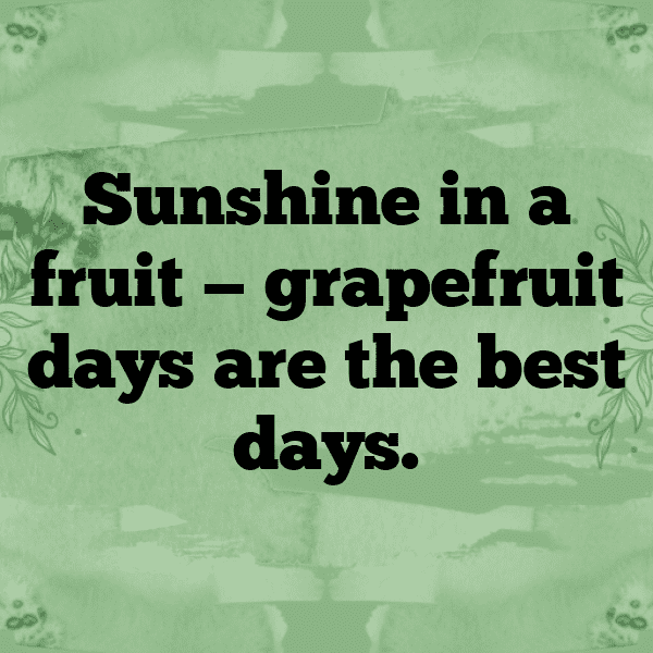 348+ Grapefruit Captions For Instagram (Short, Trending & Viral) 12 Grapefruit Captions Image For Instagram-xpMxyM