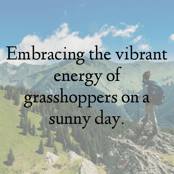 276+ Grasshopper Captions For Instagram (Fresh & Trendy) 14 Grasshopper Captions Image For Instagram-llvL4O