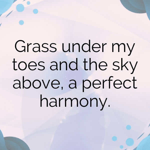 276+ Grasshopper Captions For Instagram (Fresh & Trendy) 13 Grasshopper Captions Photo For Instagram-68eCH0