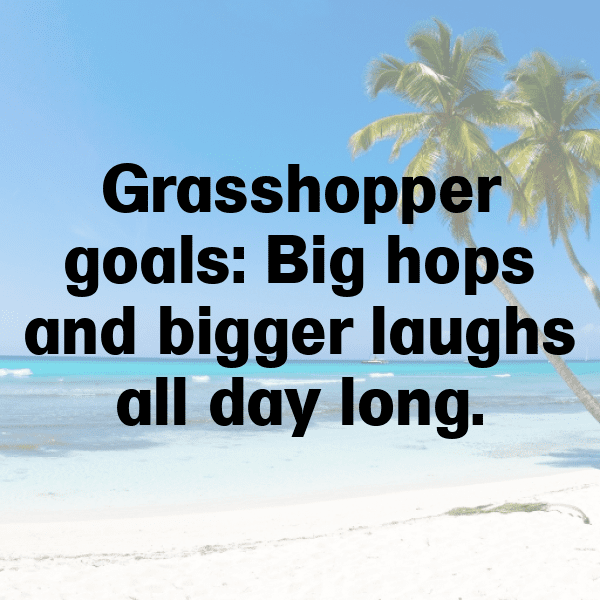 276+ Grasshopper Captions For Instagram (Fresh & Trendy) 5 Grasshopper Captions Photo For Instagram-aTjn1x