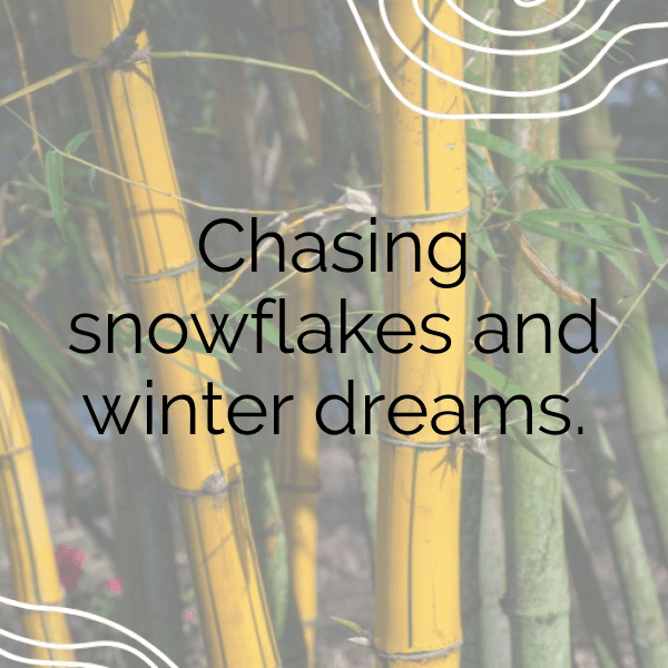 336+ Green Chili Captions For Instagram (Trending, Funny & Top) 12 Green Chili Captions Image For Instagram-S8qGxI