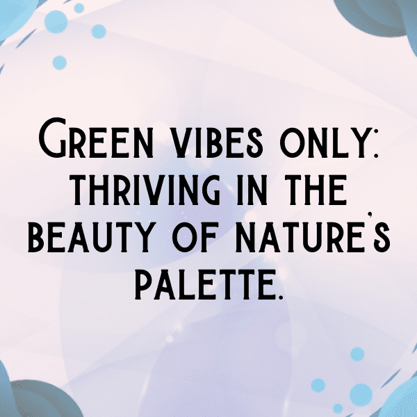 336+ Green Chili Captions For Instagram (Trending, Funny & Top) 4 Green Chili Captions Photo For Instagram-nq2C1W