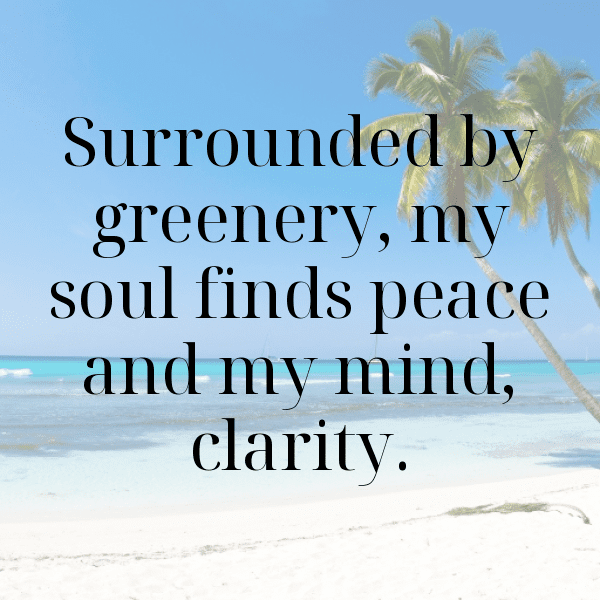 317+ Green Onion Captions For Instagram (Best, Funny & Short) 5 Green Onion Captions Photo For Instagram-Wsbn3A