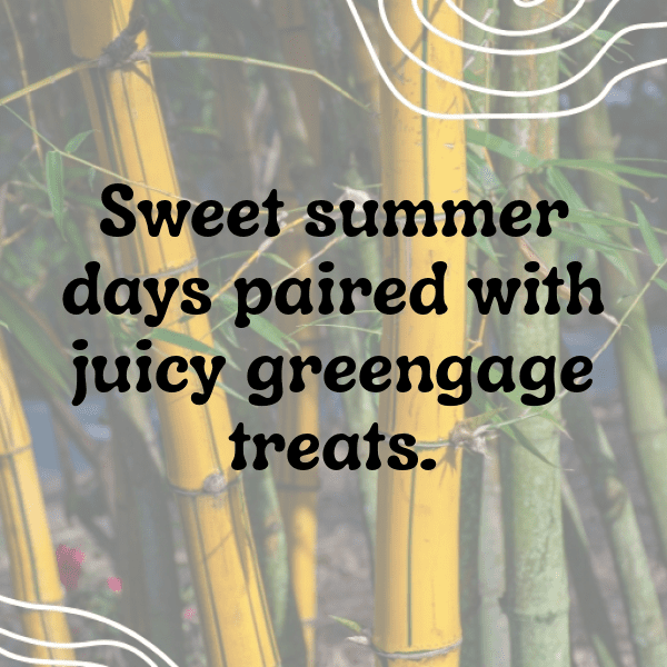Greengage Captions Image For Instagram-diU8C9