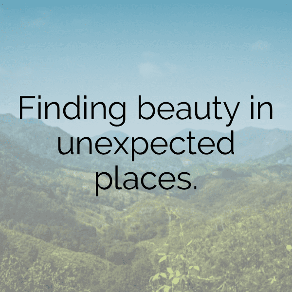 Guinea-Bissau Captions Image For Instagram-dKjYmE