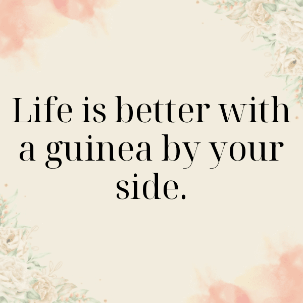 Guinea Captions Image For Instagram-aO6TXG