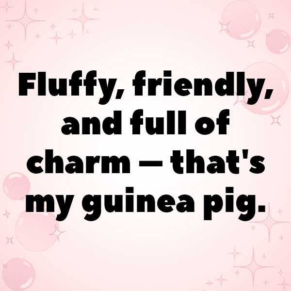 Guinea Captions Photo For Instagram-f6q0x9