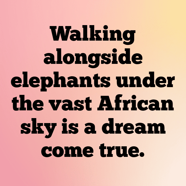 Guinea Captions Photo For Instagram-iw1IPi