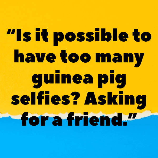 Guinea Captions Photo For Instagram-legz62