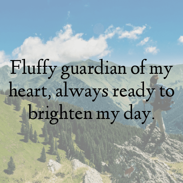 Guinea Captions Photo For Instagram-O1SQH7