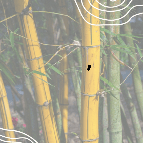 251+ Guitar Hero Captions for Instagram (Best, Funny & Short) 9 Guitar Hero Captions Image for Instagram-iDwzm2