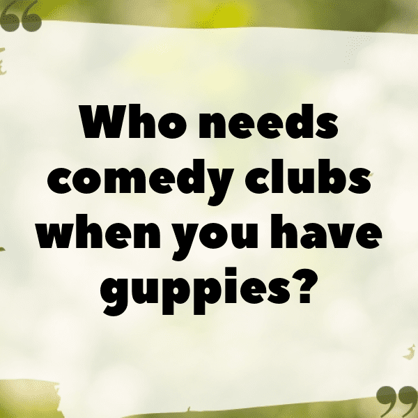 Guppy Captions Image For Instagram-z3d1qc