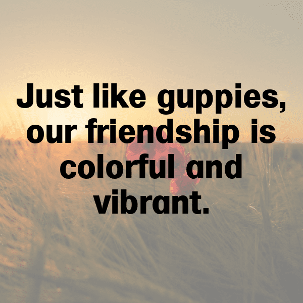 Guppy Captions Photo For Instagram-Lx1WAZ