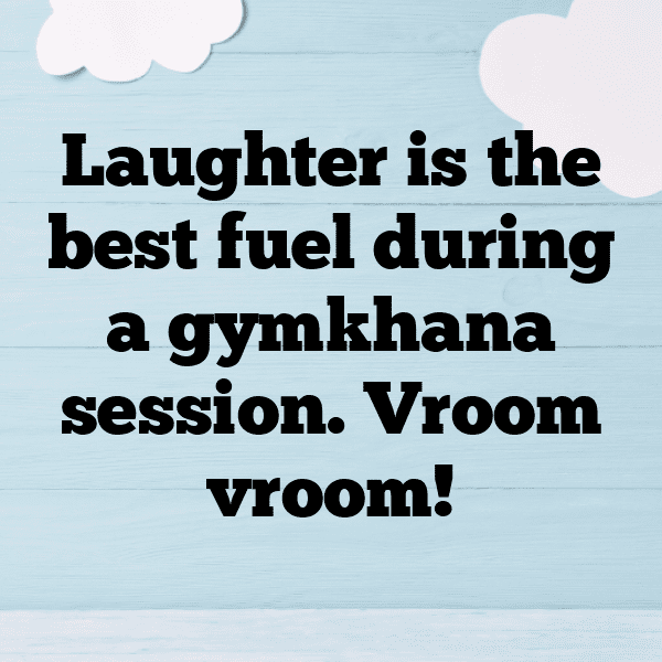 278+ Gymkhanas Captions for Instagram In 2025 3 Gymkhanas Captions Image for Instagram-qUMeCW
