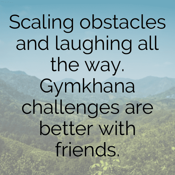 278+ Gymkhanas Captions for Instagram In 2025 7 Gymkhanas Captions Photo for Instagram-IzjtVq