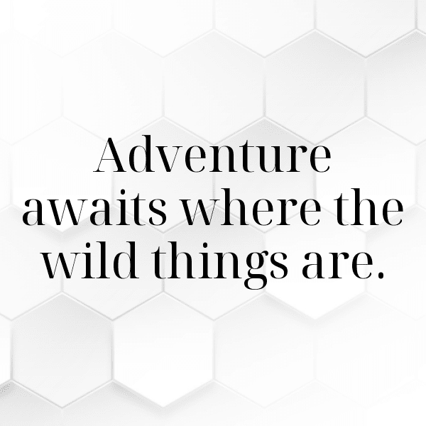 284+ Hackberry Captions For Instagram (Trending, Funny & Top) 6 Hackberry Captions Image For Instagram-ZlEiSb