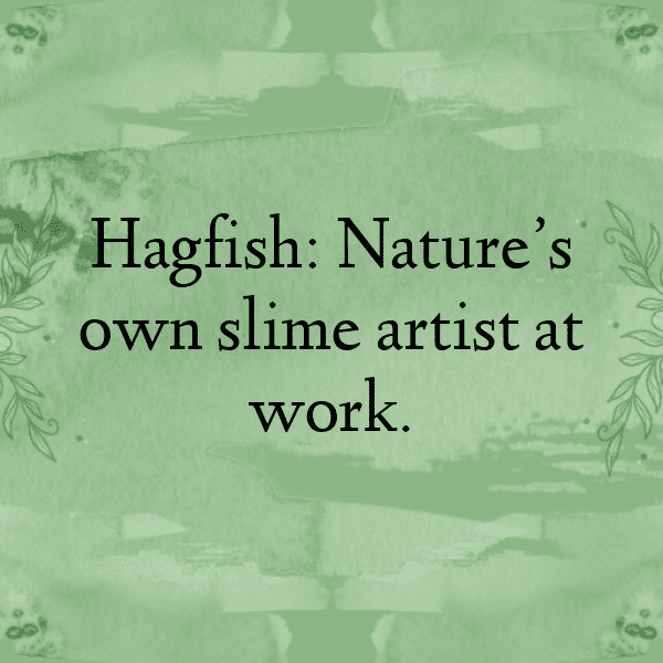 334+ Hagfish Captions For Instagram (Best, Funny & Short) 5 Hagfish Captions Photo For Instagram-OQlQ8T