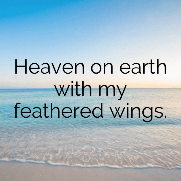 Halo Captions Image for Instagram-1Ok9qu