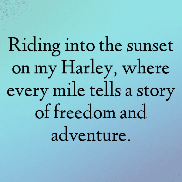 Harley-Davidson Dyna Captions Image for Instagram-MNWzIE