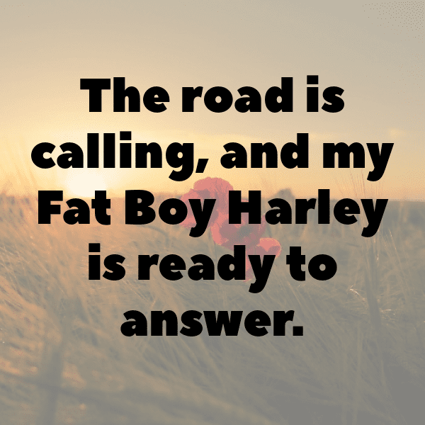 Harley-Davidson Fat Boy Captions Photo for Instagram-o8Wlk3