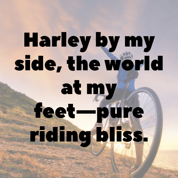 Harley-Davidson Fat Boy Captions Photo for Instagram-yVpZEl