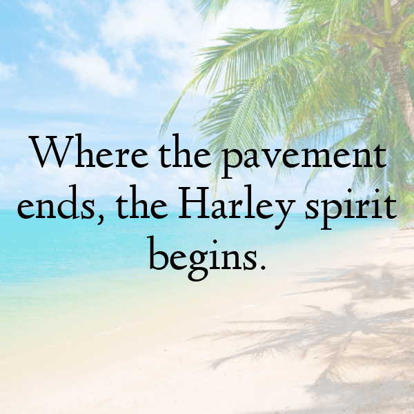 297+ Harley-Davidson Sportster Captions for Instagram (Trending, Funny & Top) 5 Harley-Davidson Sportster Captions Photo for Instagram-AGpXvj