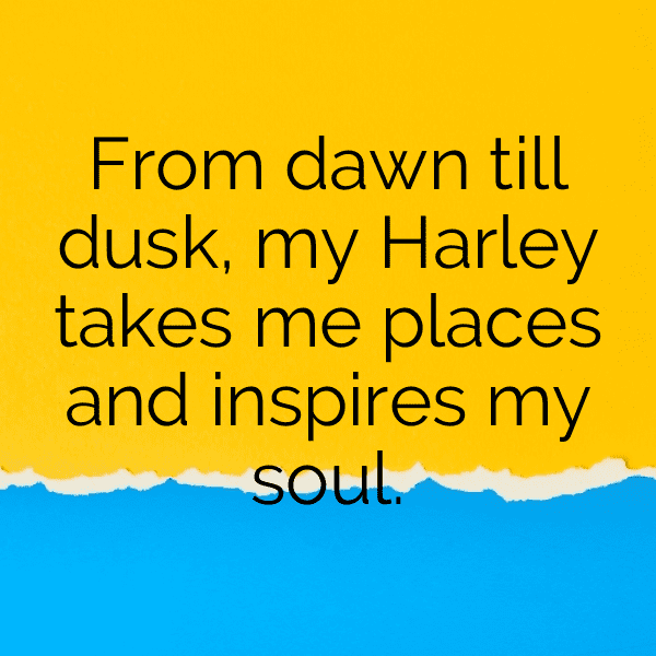 297+ Harley-Davidson Sportster Captions for Instagram (Trending, Funny & Top) 3 Harley-Davidson Sportster Captions Photo for Instagram-ToP4MD