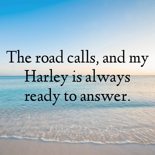 341+ Harley-Davidson Street Glide Captions for Instagram (Best, Funny & Short) 8 Harley-Davidson Street Glide Captions Image for Instagram-FF3nWI