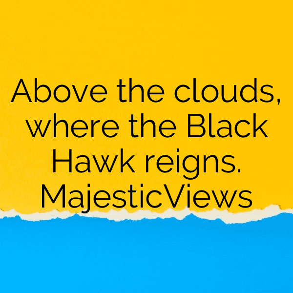 208+ Hawk Captions For Instagram In 2025 3 Hawk Captions Image For Instagram-hR8vdL