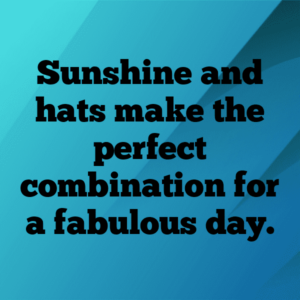 208+ Hawk Captions For Instagram In 2025 12 Hawk Captions Image For Instagram-KF7ehG