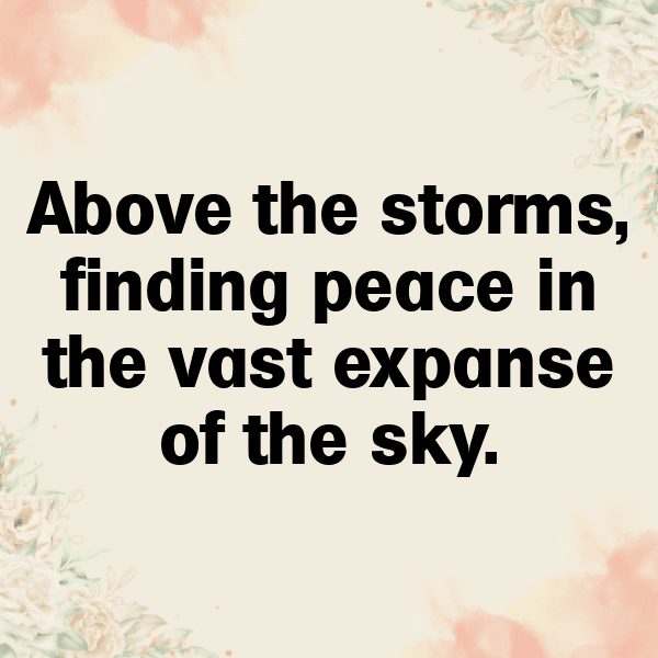 208+ Hawk Captions For Instagram In 2025 6 Hawk Captions Image For Instagram-lNIKMt