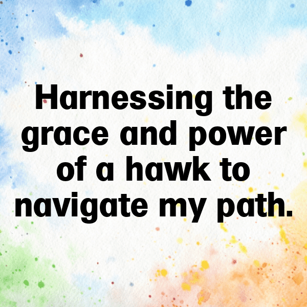 208+ Hawk Captions For Instagram In 2025 5 Hawk Captions Image For Instagram-quNK8L