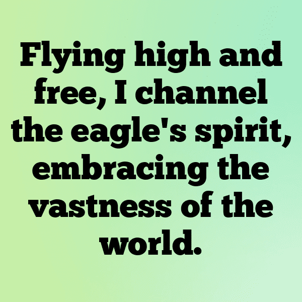 208+ Hawk Captions For Instagram In 2025 11 Hawk Captions Photo For Instagram-Fwoy6N