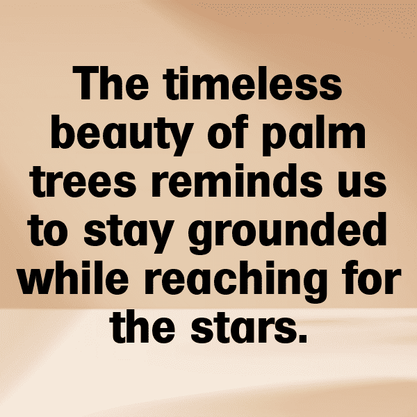 Heart of Palm Captions Image For Instagram-BF5Nyh