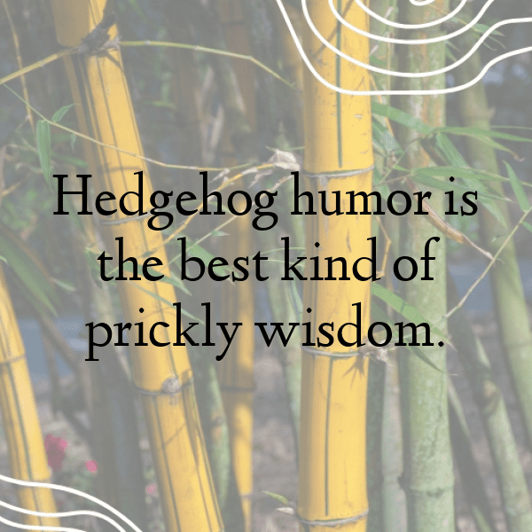 311+ Hedgehog Captions For Instagram (Fresh & Trendy) 8 Hedgehog Captions Image For Instagram-ybnTnK