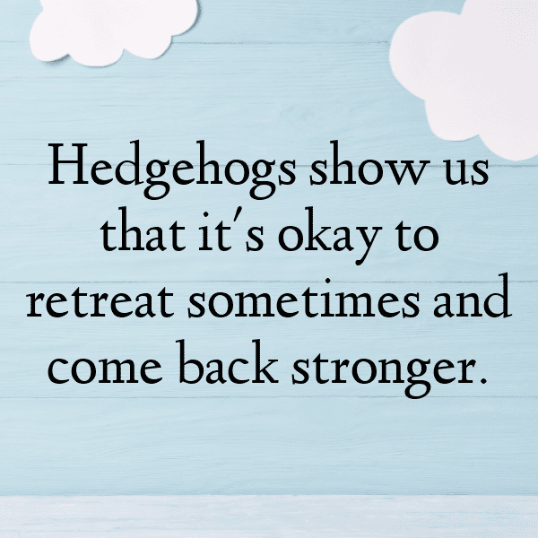 311+ Hedgehog Captions For Instagram (Fresh & Trendy) 18 Hedgehog Captions Photo For Instagram-Zzc9wC
