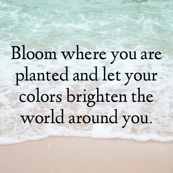 215+ Hibiscus Captions For Instagram (Best, Funny & Short) 12 Hibiscus Captions Image For Instagram-AEofWE