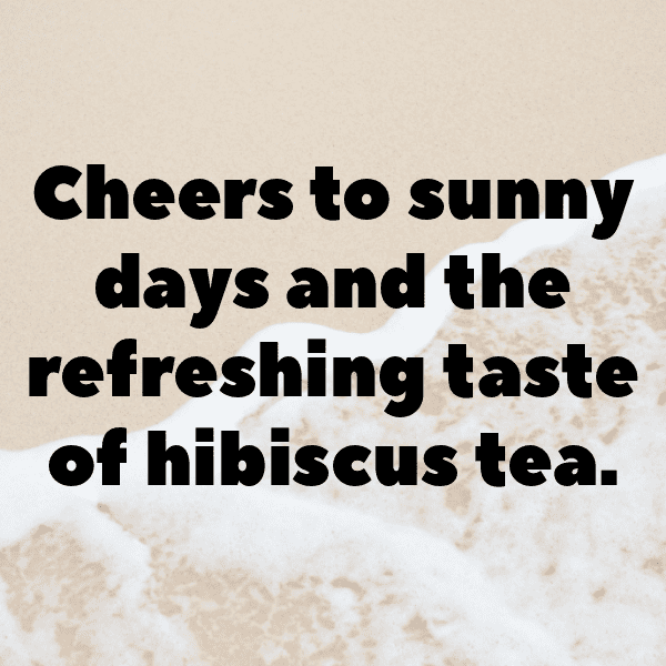 215+ Hibiscus Captions For Instagram (Best, Funny & Short) 17 Hibiscus Captions Image For Instagram-biBvGj