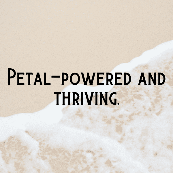 215+ Hibiscus Captions For Instagram (Best, Funny & Short) 13 Hibiscus Captions Image For Instagram-HczseQ