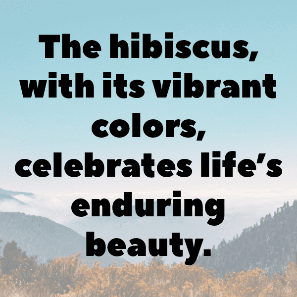 215+ Hibiscus Captions For Instagram (Best, Funny & Short) 8 Hibiscus Captions Photo For Instagram-eN7VLo