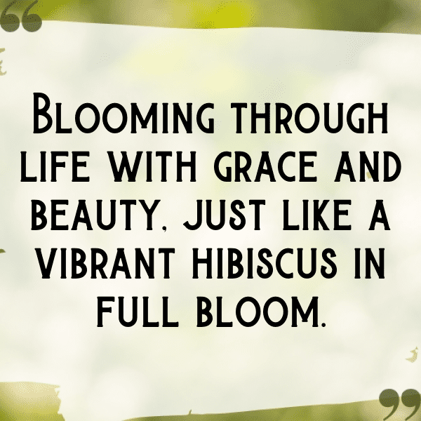 215+ Hibiscus Captions For Instagram (Best, Funny & Short) 5 Hibiscus Captions Photo For Instagram-ItYVO8