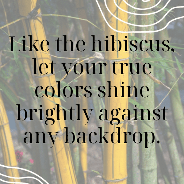 215+ Hibiscus Captions For Instagram (Best, Funny & Short) 7 Hibiscus Captions Photo For Instagram-SXowwd