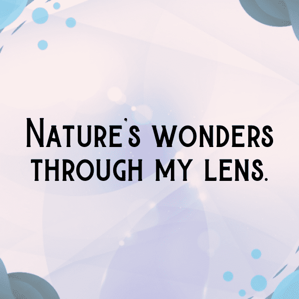 Hidden Gem Captions Image for Instagram-JpKVrD